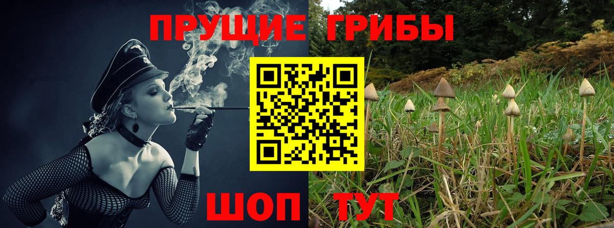 Полевской  Псилоцибиновые грибы Psilocybine cubensis  Вход с VPN  Псилоцибиновые грибы MAGIC MUSHROOMS 